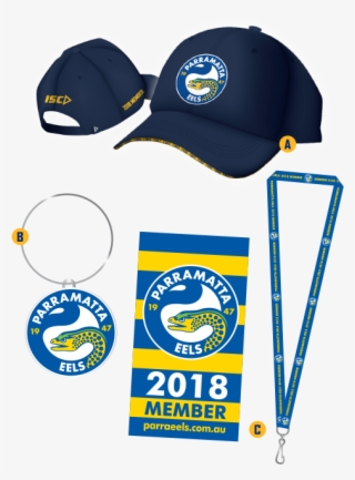 Payment Options - Nrl Essentials: Parramatta Eels (3 Discs) Dvd