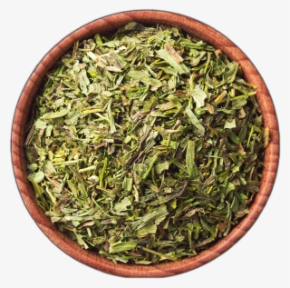 Groundcover Png