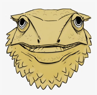 Bearded Dragon - Bearded Dragons