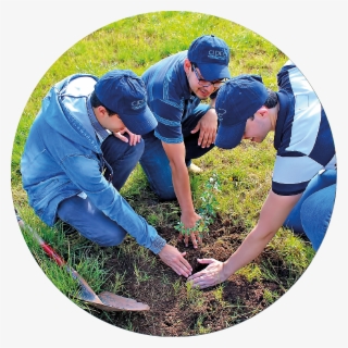 Reforestation Activities By Cidec