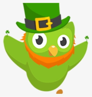 See Irish Meetup Chat, Have Craic, Labhair Gaeilge - Duolingo Ico