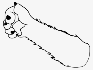 Cat Arm Png