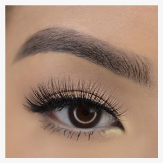 La La Lashes - Los Angeles