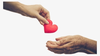 Donación - Si Alguno Me Sirve Sígame