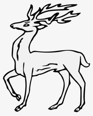 Details, Png - Roe Deer