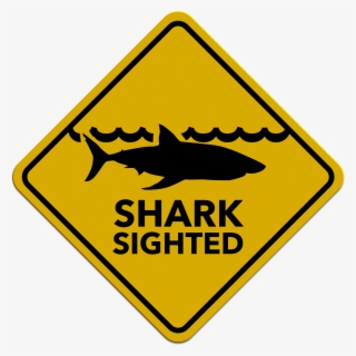 While Body Boarding Thursday Morning, A 29 Year Old - International Antarctic Centre