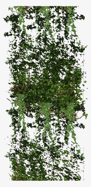 Pin By Samantha C On Architecture Material - Mock Orange