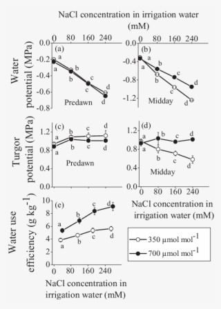 Effect Of Nacl Concentration In The Irrigation Water - Water