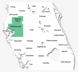50 Mile Radius Map - Tampa