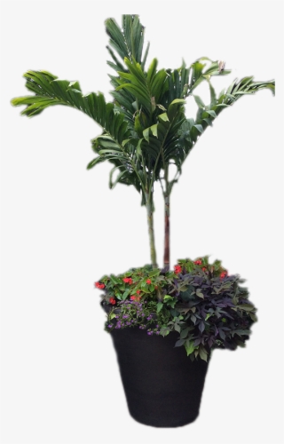 Our Complete Line Of Services Available In Omaha And - Houseplant