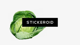 Organic Green Cabbage - Cruciferous Vegetables