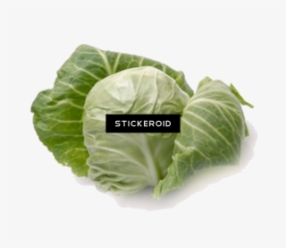 Cabbage - Cruciferous Vegetables