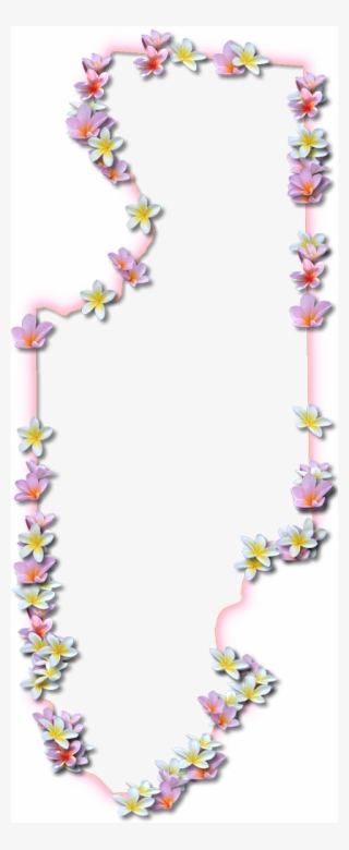 A Map Of Columbia With A Coral Color Glow Border And - Moth Orchid