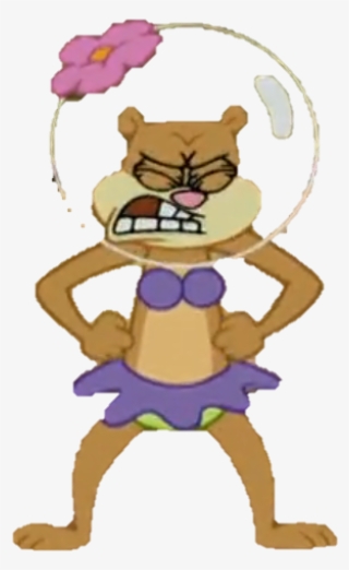 Sandy Transparent 9 - Cartoon