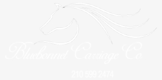 Jpg Royalty Free Download Bluebonnet Carriage Company - Stallion
