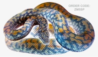 $33 Delivered - Reptile