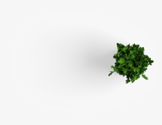 Slide 3 Plant - Résumé