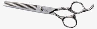 "cheetah Thinner\ - Photography