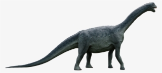 Camarasaurus - Tyrannosaurus