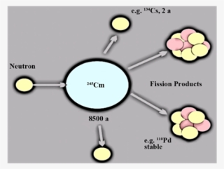 Transmutation Of 245cm Isotope Using Neutron In Ads