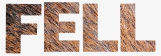 Fur Texture Lettering Structure Transparent Image - Texture Lettering