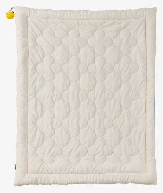 Cozy Cotton Minky Twin Comforter