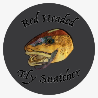 Komodo Dragon Png