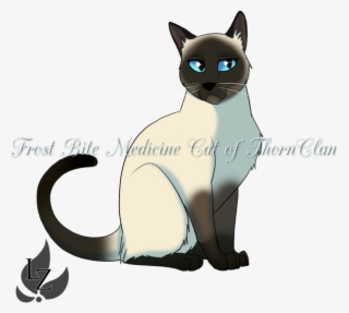 Siamese Cat By Zavraan-d8v2389izt - Cute Siamese Cat Drawing