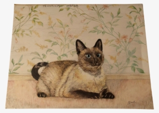 House Cat Original Colored Pencil Drawing Of A Siamese - House Cat Art Print - Mini By Nancy Smith