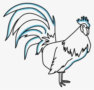 Rooster - Croquis De Un Gallo