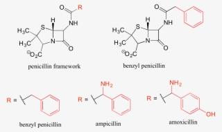 Using Abbreviations Appropriately Is A Very Important