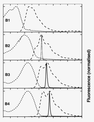 Absorption , Emission (dashed Lines) And Amplified - Amplified Spontaneous Emission