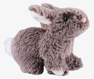 Stuffed Toy