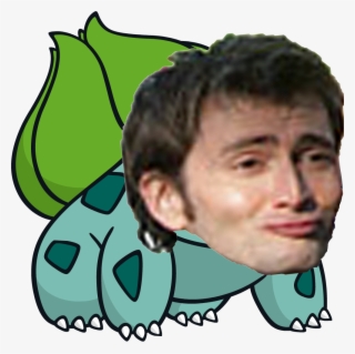 001bulbasaur Dream - Bulbasaur With Santa Hat