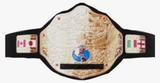 The Twe World Heavyweight Championship Is A Professional - Cartoon