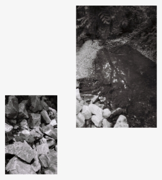 Q1 - Monochrome