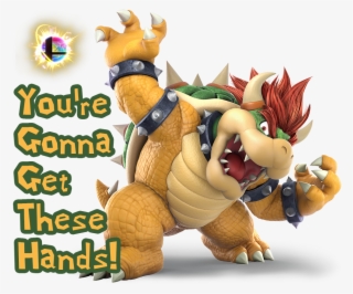 I've Come To A Realization Bowser Is The @braunstrowman