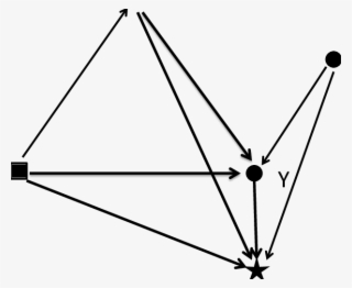 Influence Graph For A Physiological Process Y And D - Blood Pressure