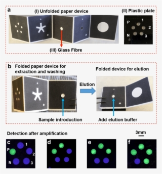 Design Of The Paper Device For The Detection Of 3 Targets - Fluidics