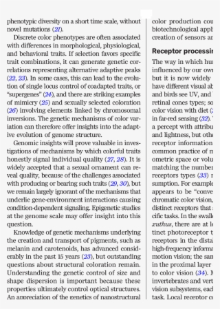 Download - Goose Tower In Vordingborg, Zealand