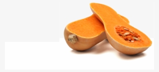 Winter Squash - Organic Butternut Squash