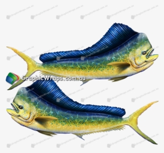 Mahi Mahi