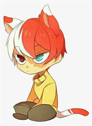 Report Abuse - Todoroki Kawaii