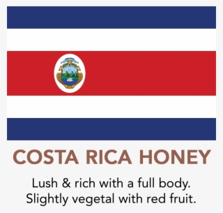 Costa Rica Black Honey - Costa Rica National Flag Mouse Pad