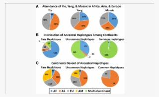 A Predominant Occurrence Of The Common Haplotypes Among - Common Fig