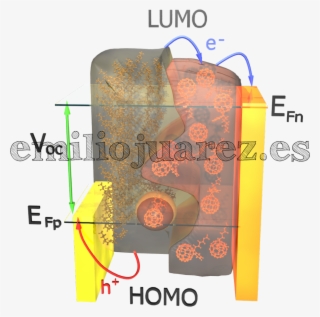 Fullerene Vacuole - - Diagram