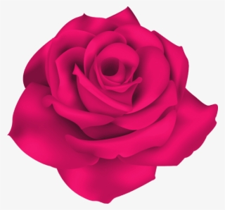 Free Png Single Pink Rose Png Images Transparent - وردة Png