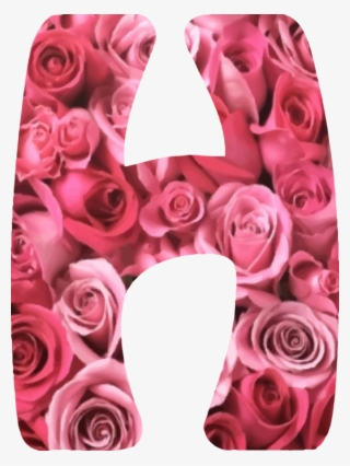 Garden Roses Flower Computer Icons - Red Rose Flower Alphabet