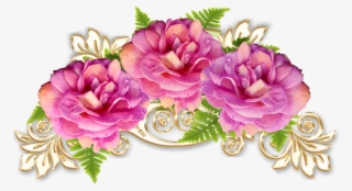 Cabbage Roses Floral Design Flower Transprent