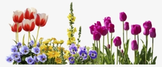 Forms Made Easy, Counseling, Deborah Day - Cafepress Samsung Galaxy S8 Plus Case